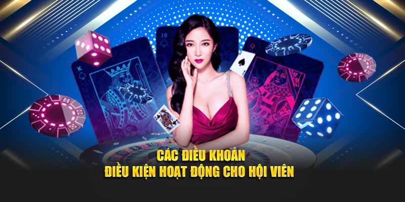 Các điều khoản - điều kiện hoạt động cho hội viên